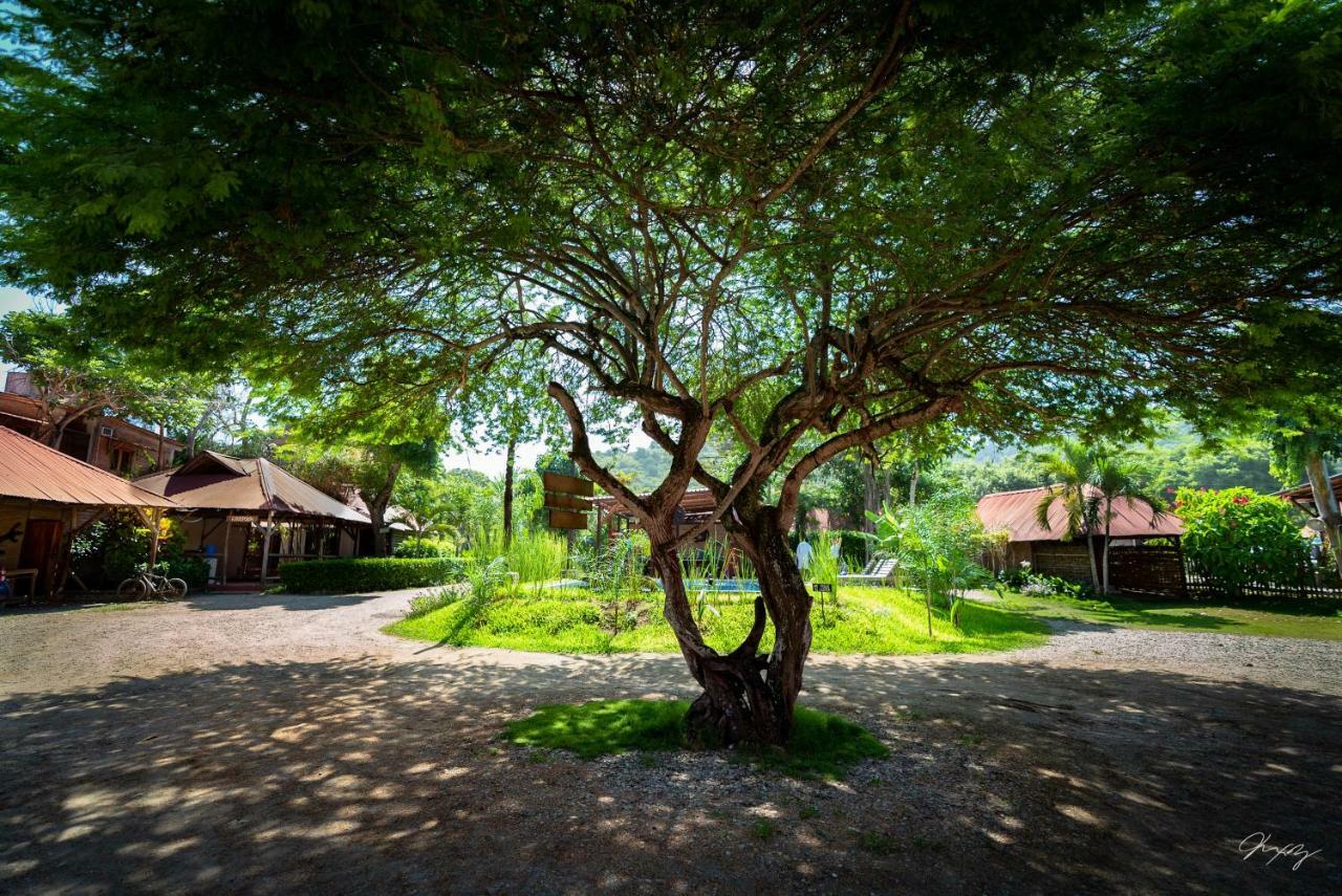 Cabanas La Tortuga Ayampe Εξωτερικό φωτογραφία